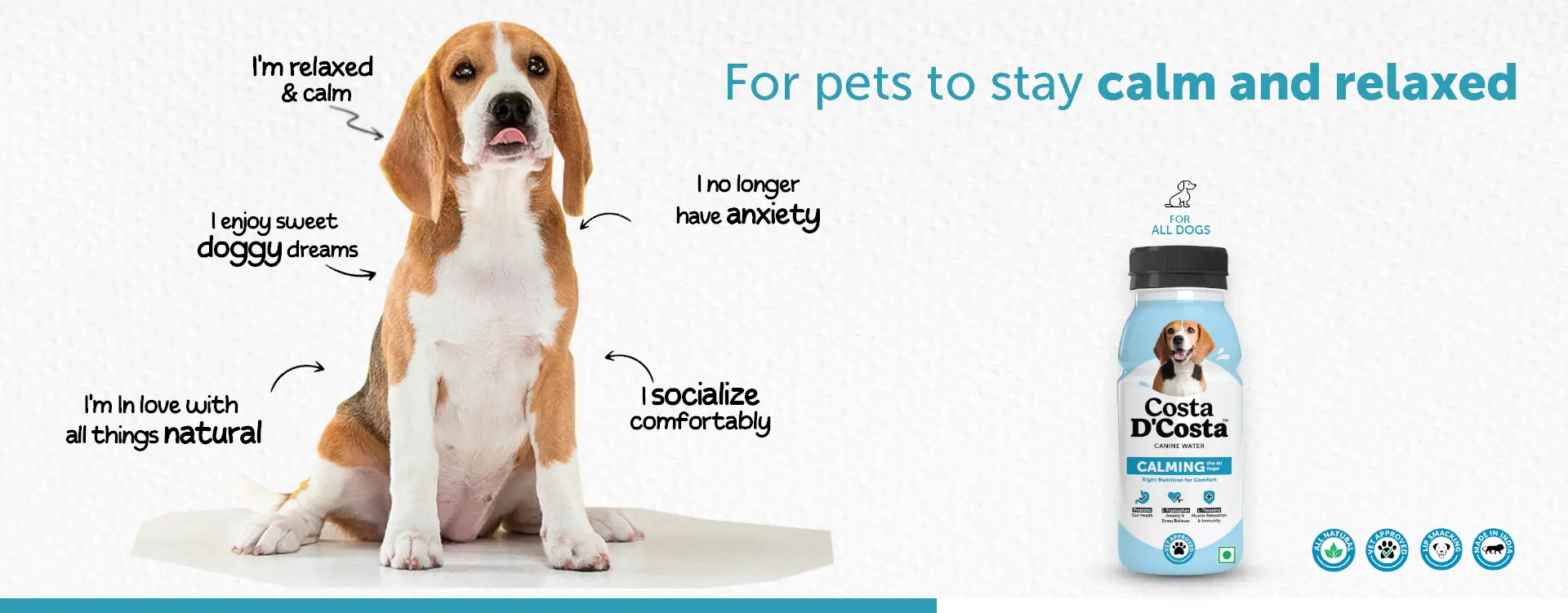 for pets to stay calm and relaxed